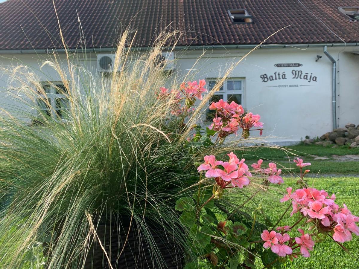 Balta Maja Hotel Pilsrundāle Exterior photo